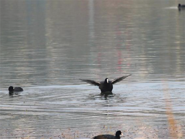 2039460095168541_106.png 2039460095168541_106.png