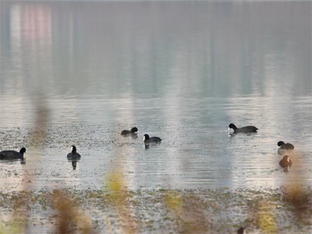 20400288827308720_106.png 20400288827308720_106.png