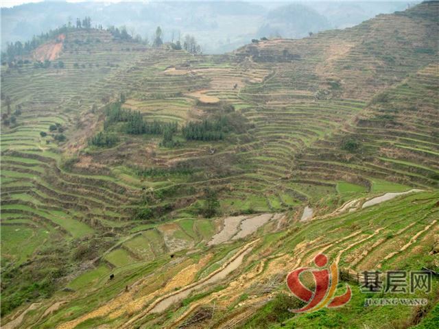 19414784583619403_75.jpg 19414784583619403_75.jpg