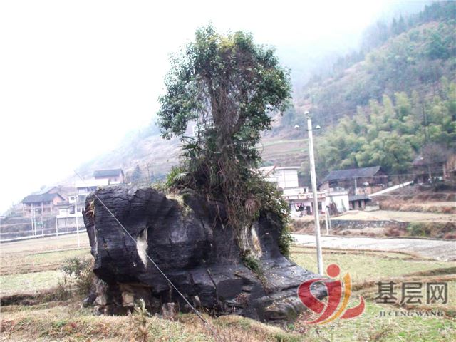 19422009991455578_75.jpg 19422009991455578_75.jpg