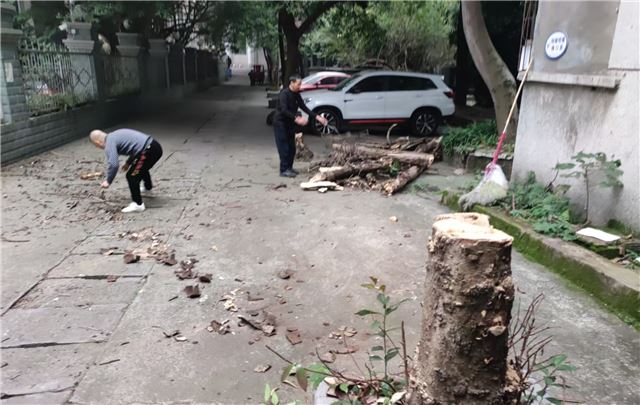 18072593208246911_106.jpg 18072593208246911_106.jpg