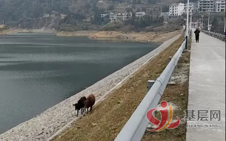 21323376068807248_75.png 21323376068807248_75.png