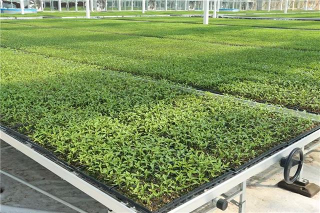 20393859756392453_84.jpg 20393859756392453_84.jpg