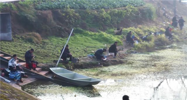 20135163124695387_106.jpg 20135163124695387_106.jpg