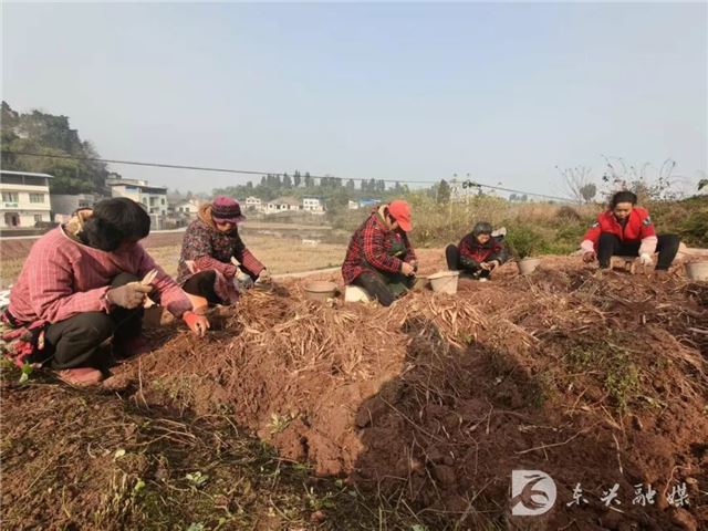 20141384867014827_106.jpg 20141384867014827_106.jpg