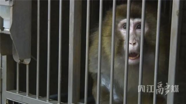 11081929319930127_106.jpg 11081929319930127_106.jpg