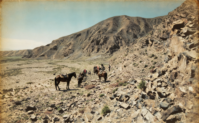 11311783616584203_83.png 11311783616584203_83.png