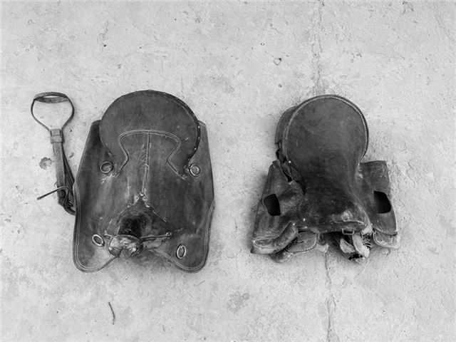 11313093042954844_83.jpg 11313093042954844_83.jpg