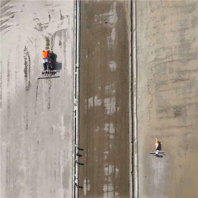 18323460571460691_84.jpg