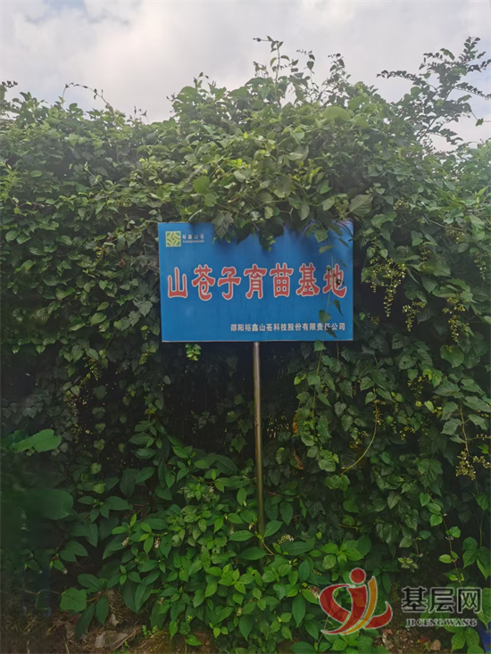 10393474275905695_92.png